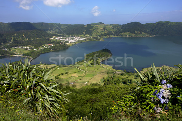 azores Stock photo © zittto