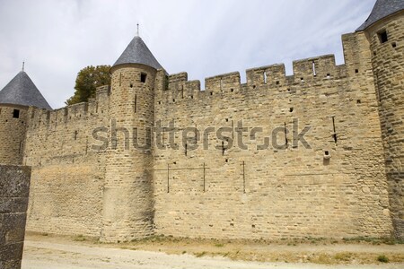 Carcassone Stock photo © zittto