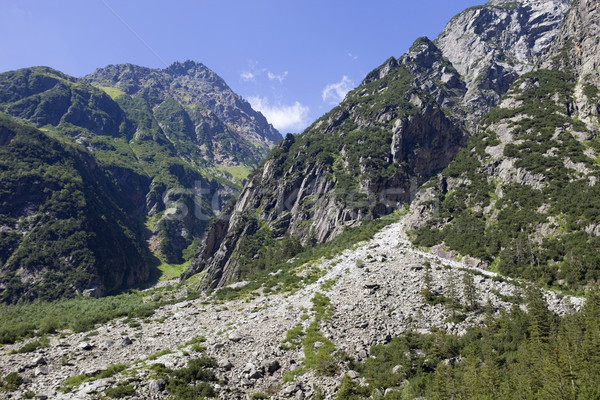 Góry widoku górskich wiosną czasu Szwajcaria Zdjęcia stock © zittto