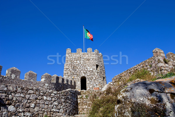 castle Stock photo © zittto