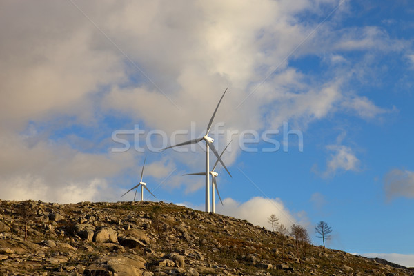 turbines Stock photo © zittto
