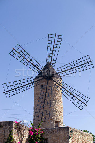 windmill Stock photo © zittto