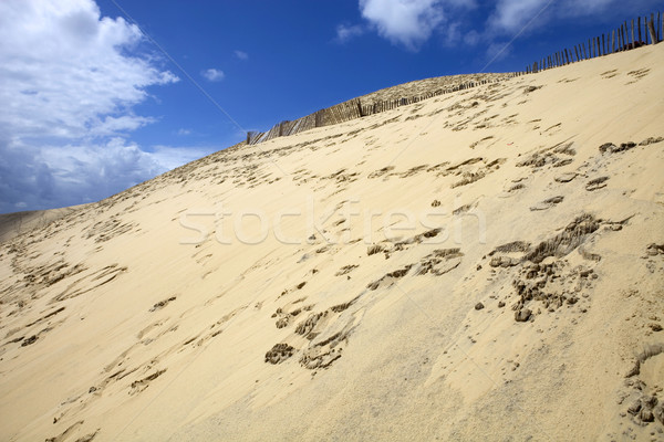 dune of Pyla Stock photo © zittto