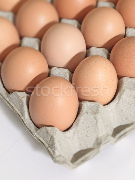 雞 雞蛋 關閉 新鮮 食品 雞蛋 商業照片 © zkruger