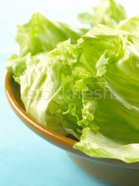 Jéghegy saláta közelkép tál étel levelek Stock fotó © zkruger