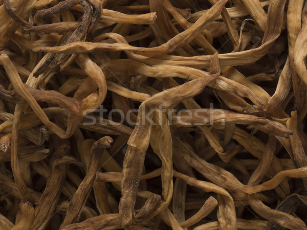 dried daylily Stock photo © zkruger