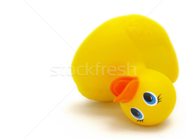 rubber duck Stock photo © zkruger