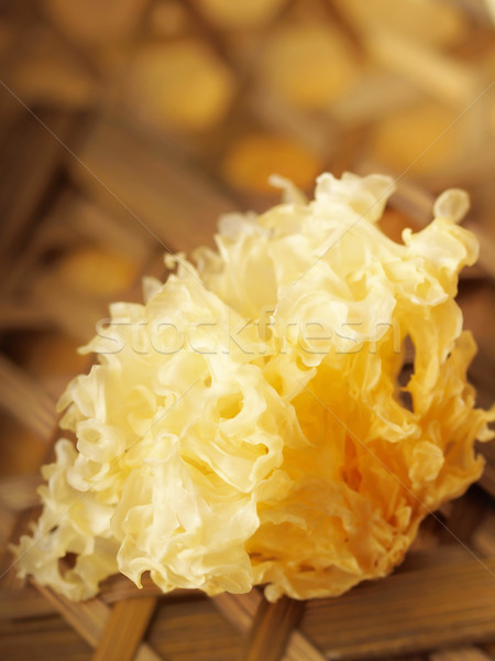 Neve fungo árvore comida cor Foto stock © zkruger