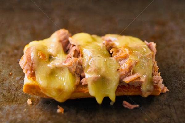 Rustic american ton sandwich peşte Imagine de stoc © zkruger