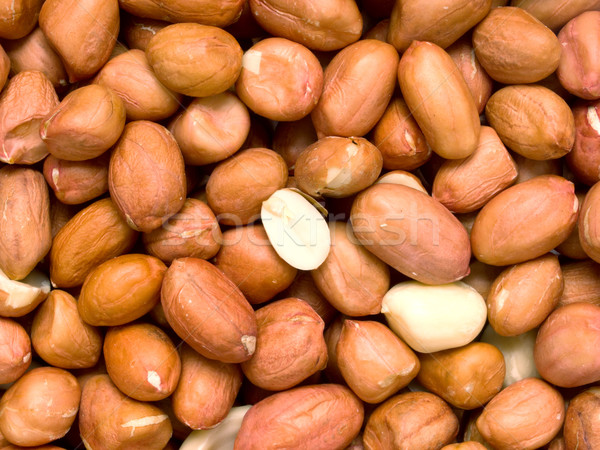 raw uncooked peanuts Stock photo © zkruger