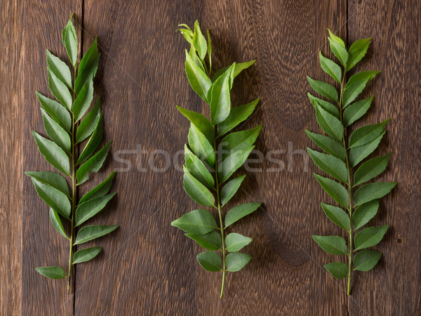 curry leaves Stock photo © zkruger