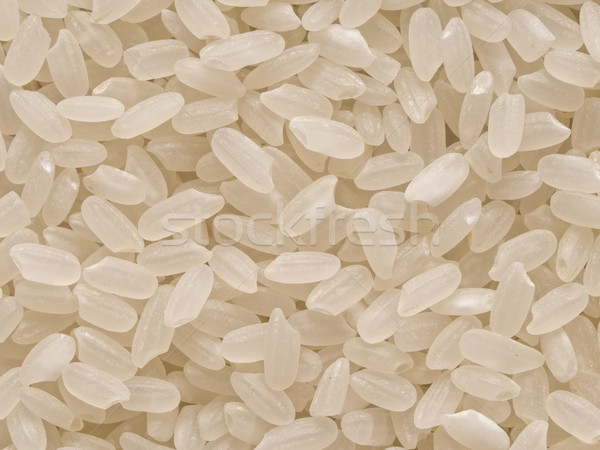 short grain japanese calrose rice food background Stock photo © zkruger