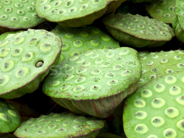 lotus seed pods Stock photo © zkruger