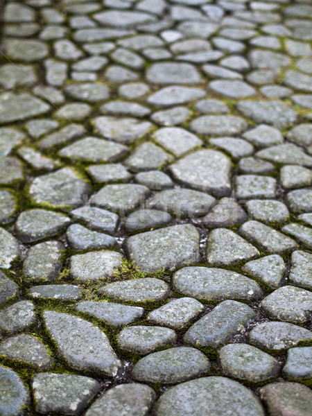 cobblestone path Stock photo © zkruger
