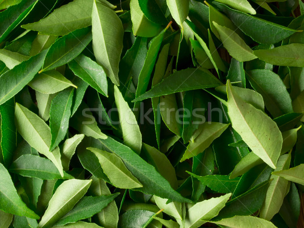 Foto stock: Caril · folhas · fresco · indiano · comida