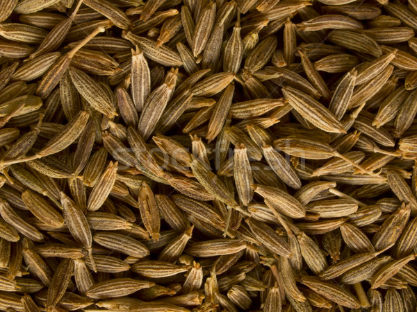 cumin seeds Stock photo © zkruger