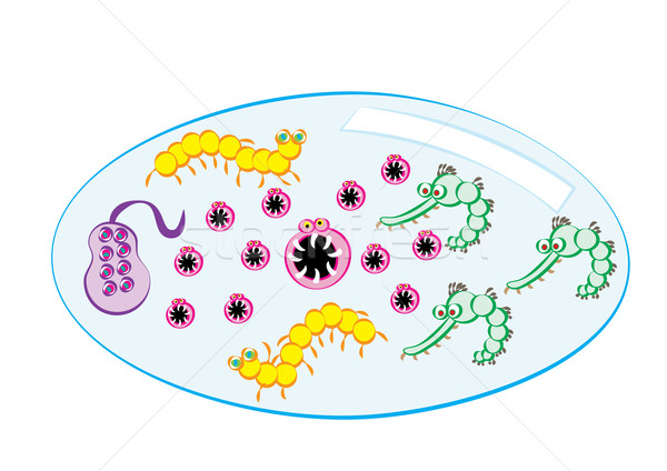 waterborne disease microbe Stock photo © zkruger