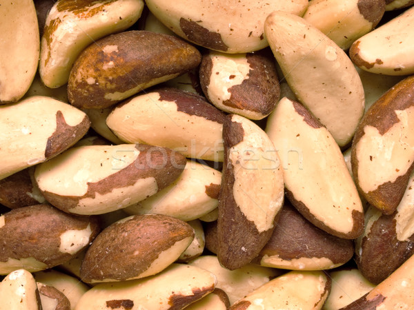 brazil nut Stock photo © zkruger