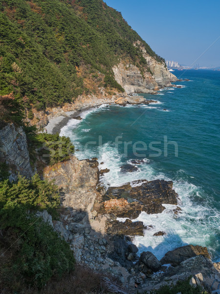 Park natuur zee reizen asia Stockfoto © zkruger