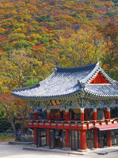 beomeosa temple in busam south korea Stock photo © zkruger