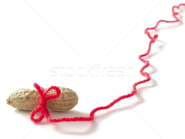 Stock photo: peanuts carrot and stick concept