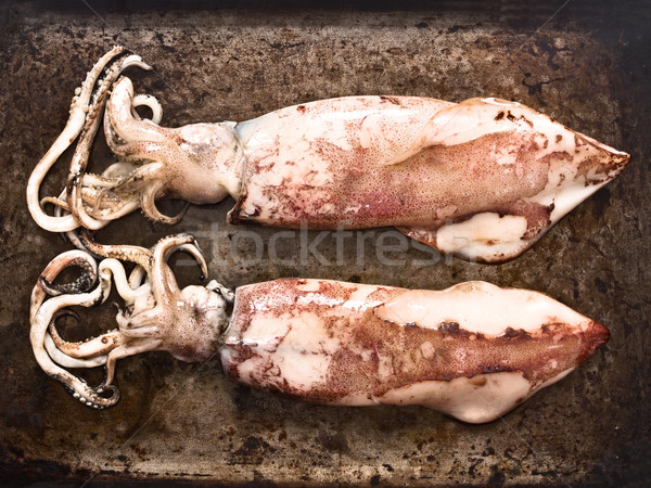 Cocido todo calamar alimentos color Foto stock © zkruger