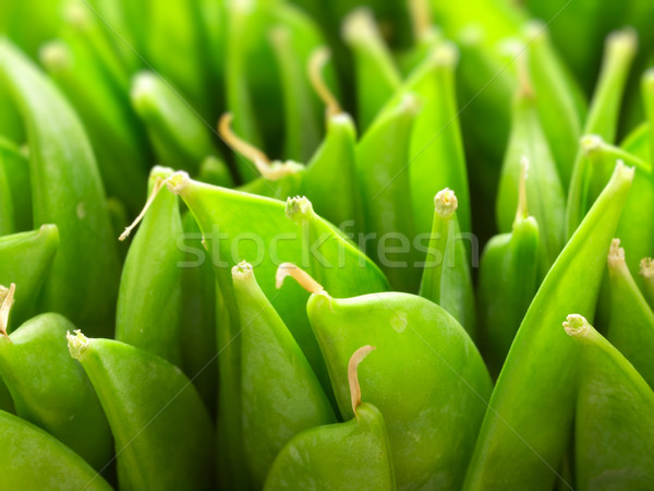 snow peas Stock photo © zkruger