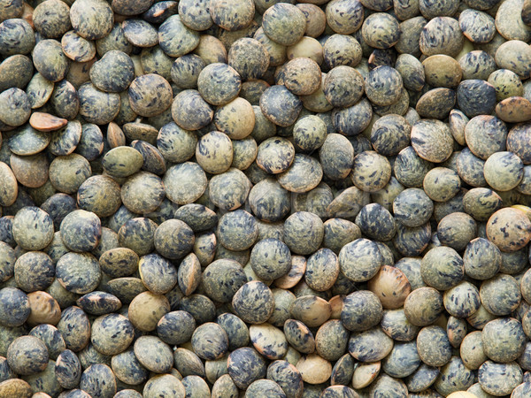 dried french green puy lentil food background Stock photo © zkruger