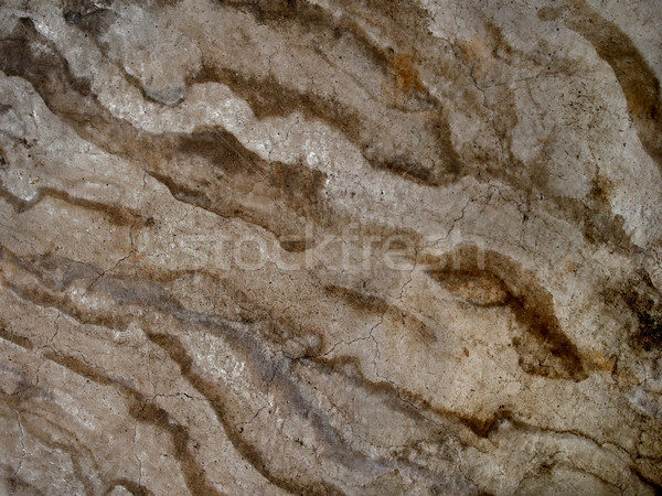 Vitralii ciment textură fundal podea Imagine de stoc © zkruger