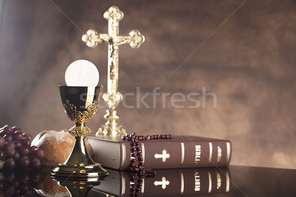 Katolikus vallás szent Biblia kereszt arany Stock fotó © zolnierek