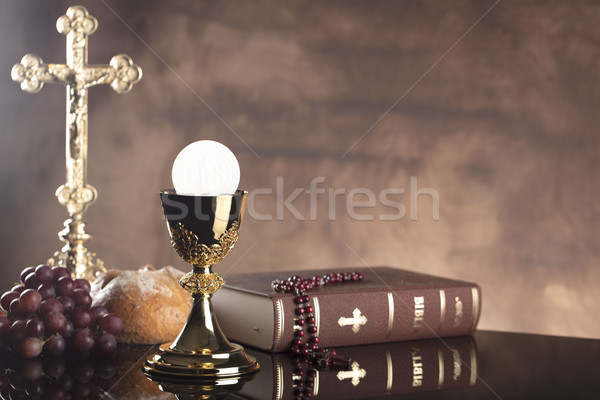 Katholiek godsdienst heilig bijbel kruis goud Stockfoto © zolnierek