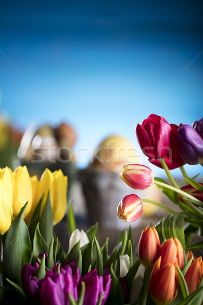 Húsvét virágcsokor tulipánok húsvéti tojások színes bokeh Stock fotó © zolnierek