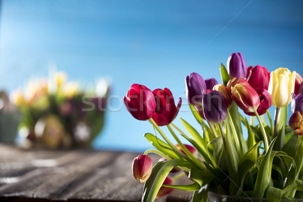 Easter theme Stock photo © zolnierek