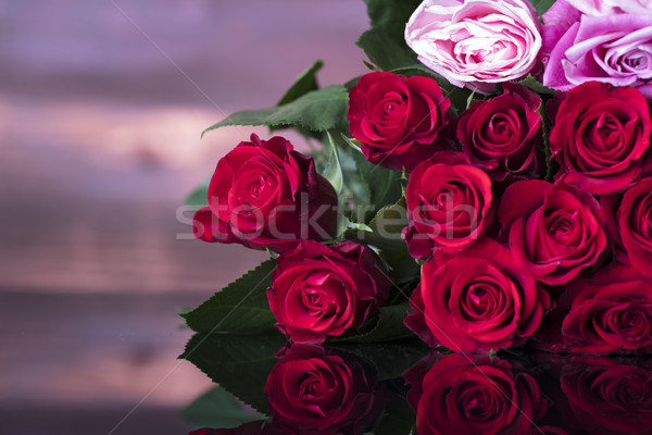 Roses Stock photo © zolnierek