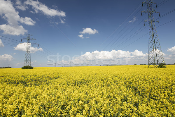 Veld landschap zomer tijd achtergronden hemel Stockfoto © zolnierek