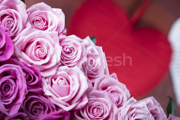 Stock photo: Roses