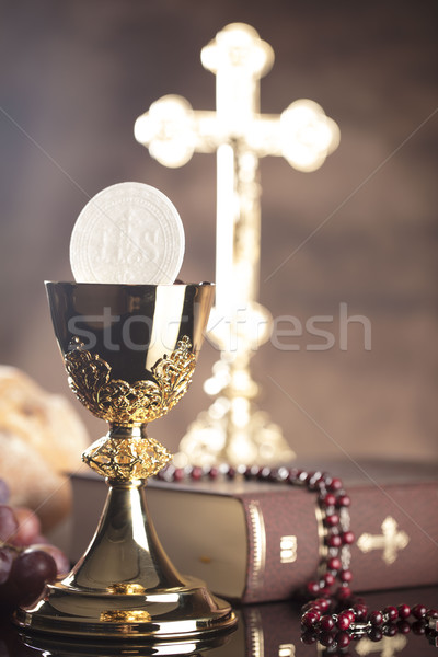 Katolikus vallás szent Biblia kereszt arany Stock fotó © zolnierek