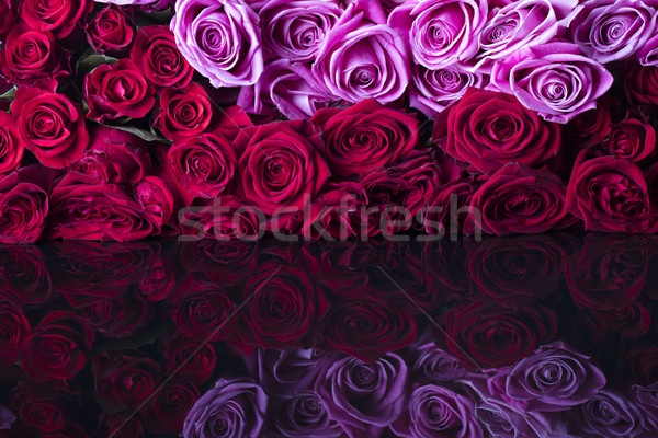 Rózsák különleges nap virágcsokor üveg asztal Stock fotó © zolnierek