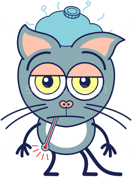 かわいい 灰色の猫 病気 スタイル ストックフォト © zooco