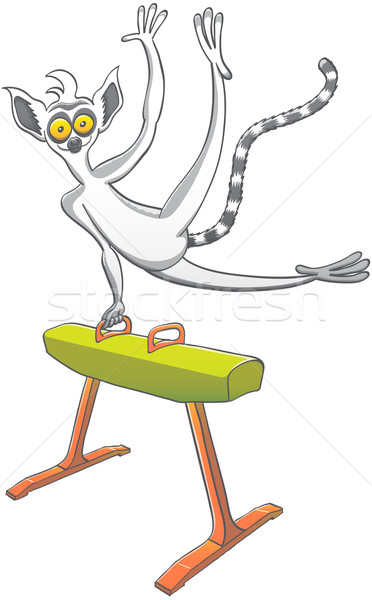Lemur on a pommel horse Stock photo © zooco