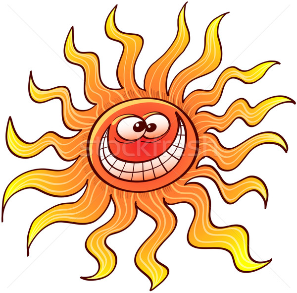 Cool sun grinning Stock photo © zooco