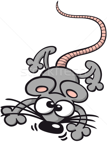 Stock photo: Cute gray mouse walking and sniffing around