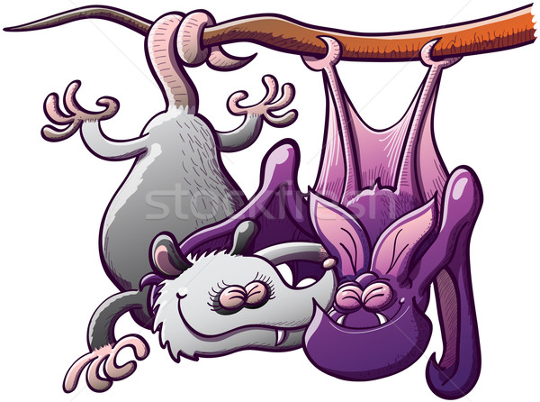 Opossum and bat in love Stock photo © zooco