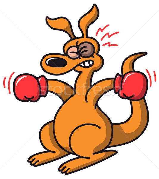Boxing canguro avversario nascondere pronto Foto d'archivio © zooco