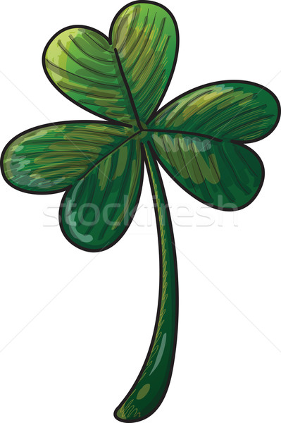 Saint Paddy's Day Clover Stock photo © zooco