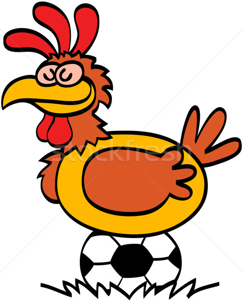 Foto d'archivio: Gallina · soccer · ball · nice · assonnato · sorridere