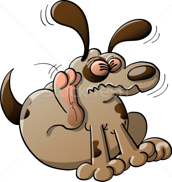 Distressed dog scratching fleas Stock photo © zooco