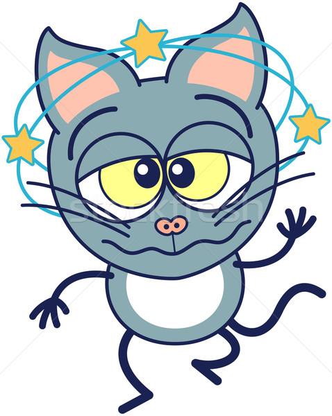 Stock photo: Cute gray cat walking unsteadily and feeling dizzy