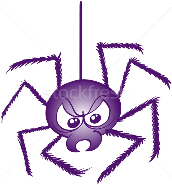 Scaring spider in angry mood Stock photo © zooco