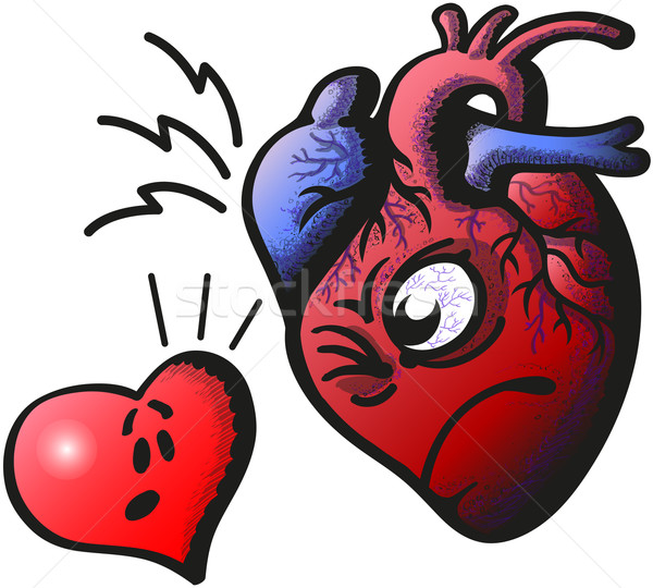 Real inimă vs desen animat supărat anatomic Imagine de stoc © zooco